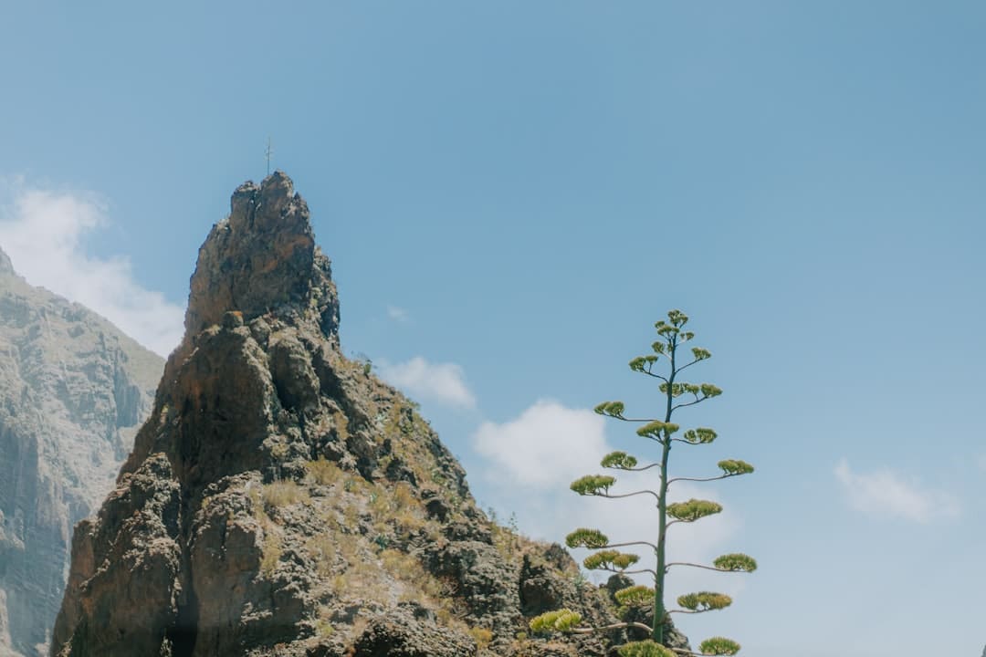 《致芳华2》首映李梦化身莫郁华羞涩表白金世佳